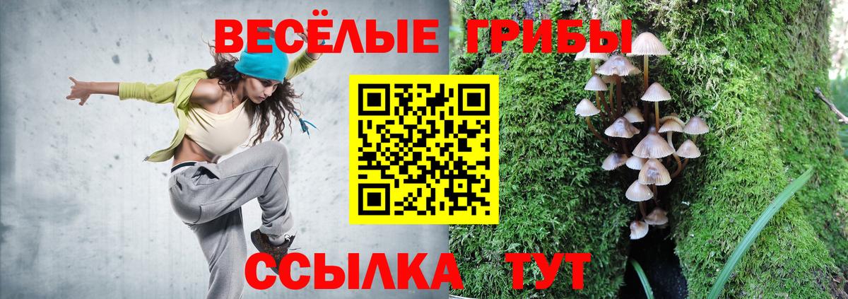 Галлюциногенные грибы GOLDEN TEACHER  Галлюциногенные грибы Magic Shrooms  что такое   Вход с VPN  Ишим 