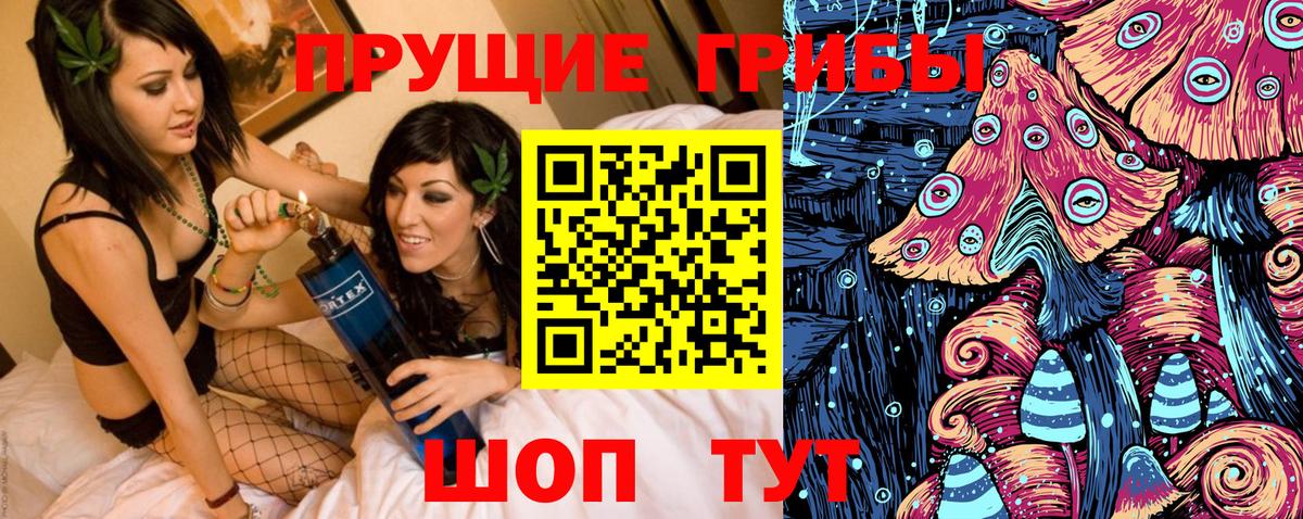 Галлюциногенные грибы Cubensis Ишим